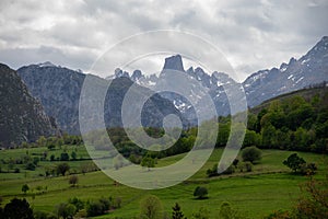 Glass of natural Asturian cider made fromÂ fermented apples with view on Covadonga lake and tops of Picos de Europa mountains,